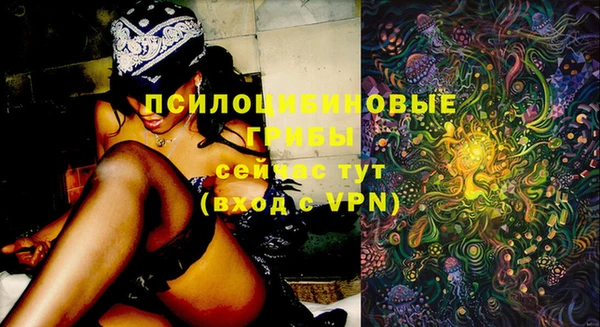 apvp Алексин